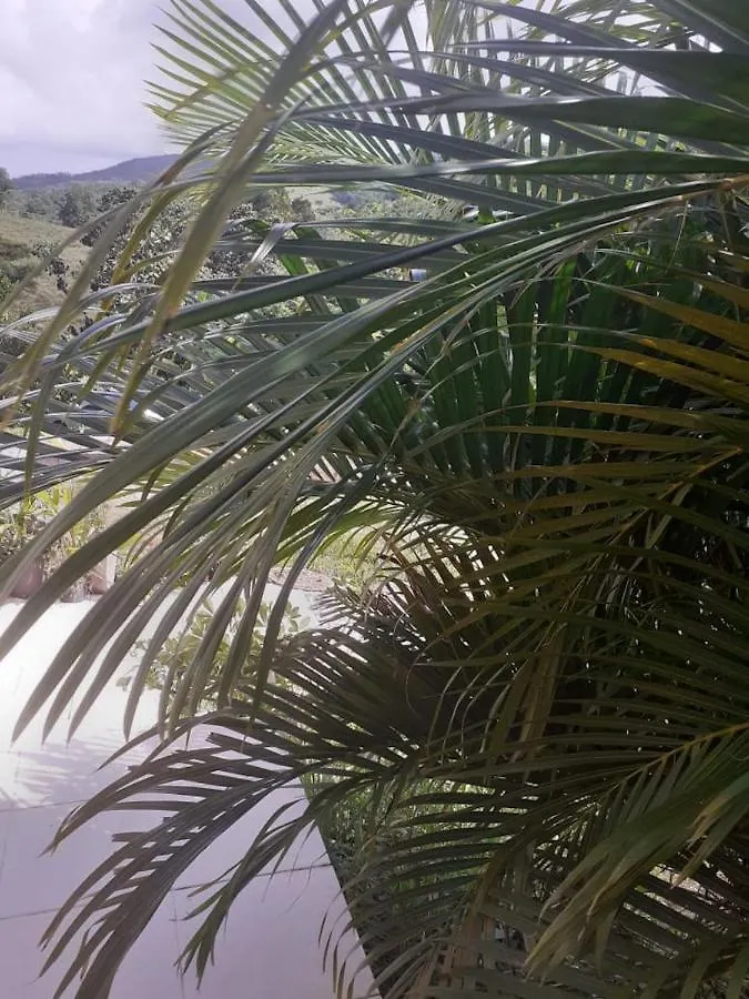 CHEZ COCO appartement BALISIER Riviere-Salee Martinique
