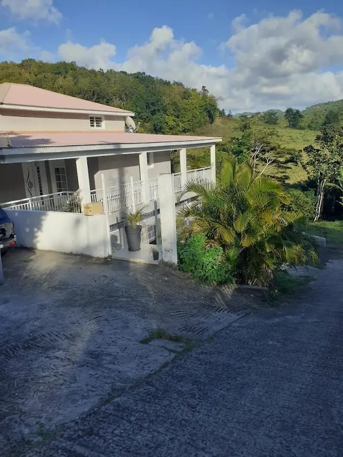 Chez Coco Appartement Balisier Riviere-Salee